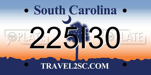 225I30 South Carolina License Plate
