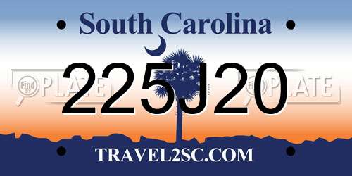 225J20 South Carolina License Plate