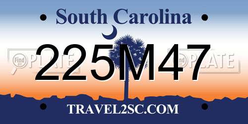 225M47 South Carolina License Plate