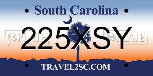 225XSY South Carolina License Plate
