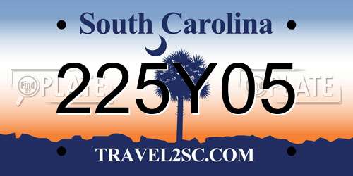 225Y05 South Carolina License Plate