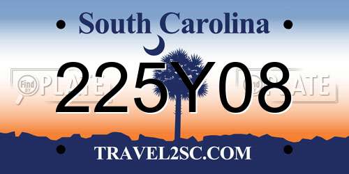 225Y08 South Carolina License Plate
