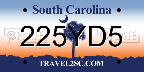 225YD5 South Carolina License Plate