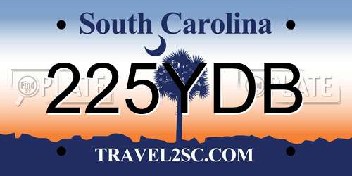 225YDB South Carolina License Plate