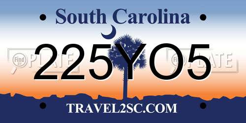 225YO5 South Carolina License Plate