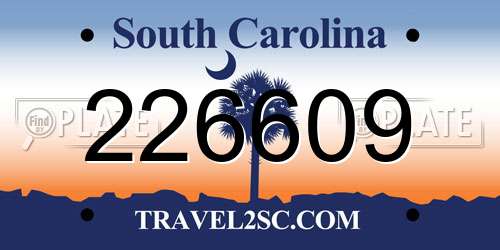 226609 South Carolina License Plate