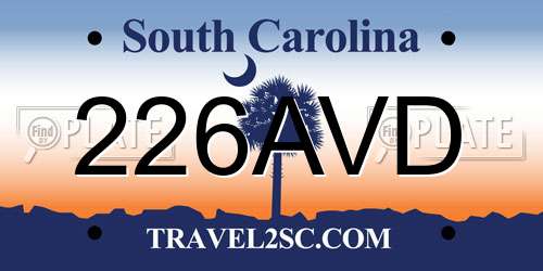 226AVD South Carolina License Plate