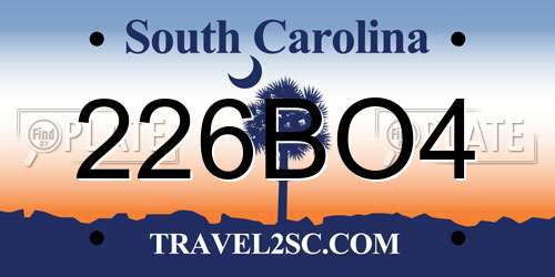 226BO4 South Carolina License Plate