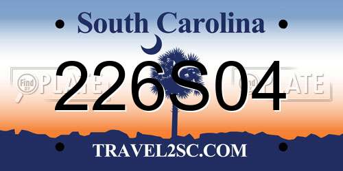 226S04 South Carolina License Plate