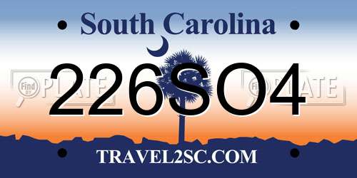 226SO4 South Carolina License Plate