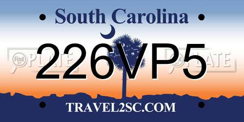226VP5 South Carolina License Plate