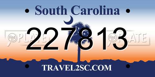 227813 South Carolina License Plate