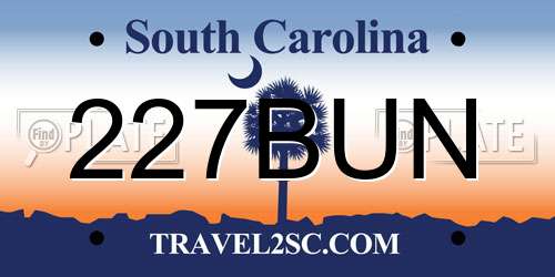 227BUN South Carolina License Plate