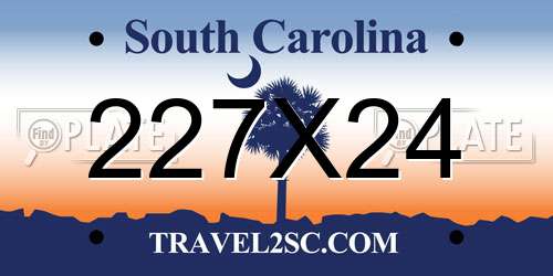 227X24 South Carolina License Plate
