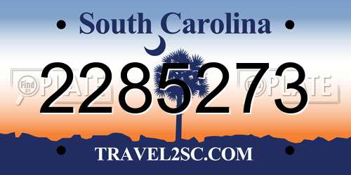 2285273 South Carolina License Plate