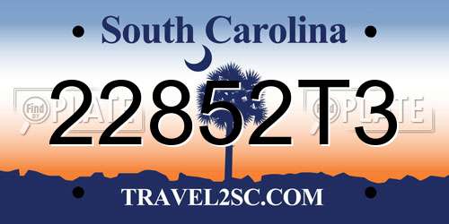 22852T3 South Carolina License Plate