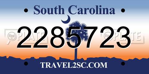 2285723 South Carolina License Plate