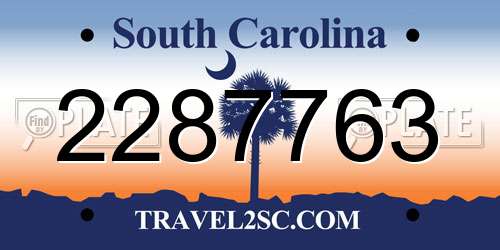 2287763 South Carolina License Plate