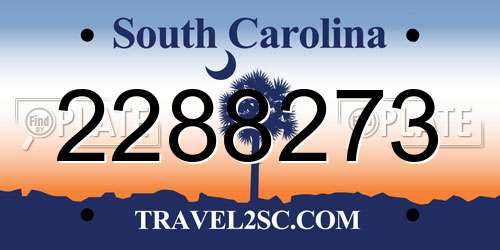 2288273 South Carolina License Plate