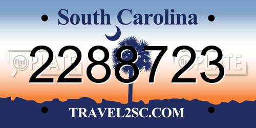 2288723 South Carolina License Plate