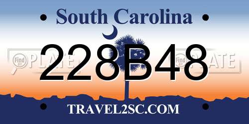 228B48 South Carolina License Plate