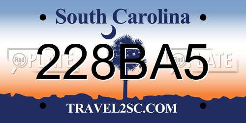 228BA5 South Carolina License Plate