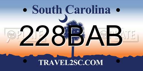 228BAB South Carolina License Plate