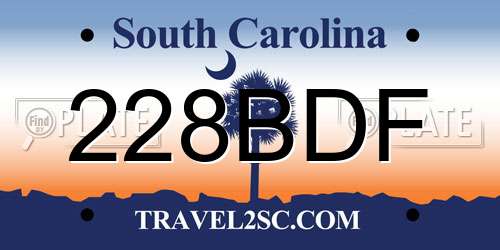 228BDF South Carolina License Plate