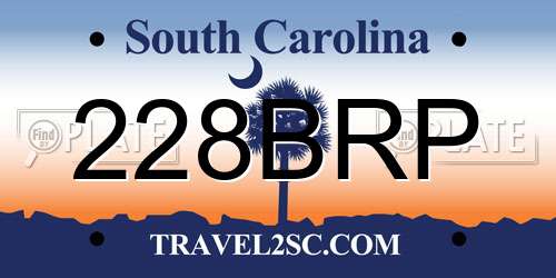 228BRP South Carolina License Plate