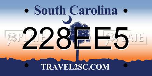 228EE5 South Carolina License Plate