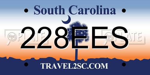 228EES South Carolina License Plate