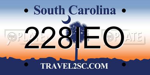 228IEO South Carolina License Plate