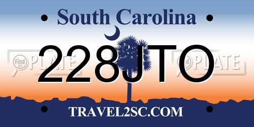 228JTO South Carolina License Plate
