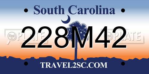 228M42 South Carolina License Plate