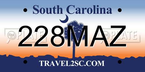 228MAZ South Carolina License Plate