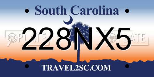 228NX5 South Carolina License Plate