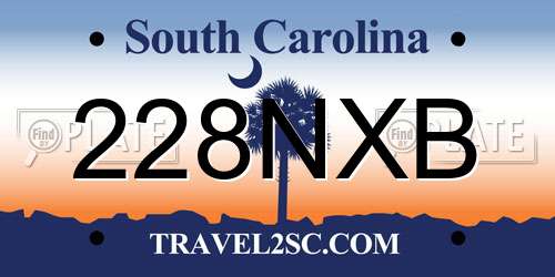 228NXB South Carolina License Plate