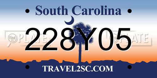 228Y05 South Carolina License Plate