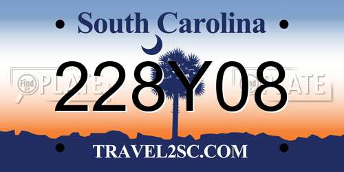 228Y08 South Carolina License Plate