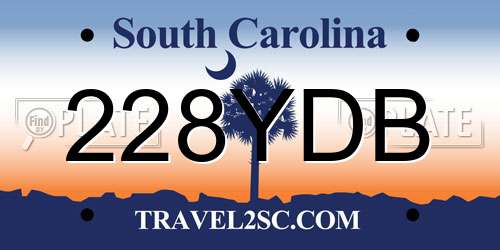 228YDB South Carolina License Plate