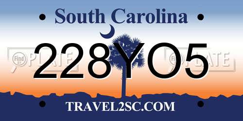 228YO5 South Carolina License Plate