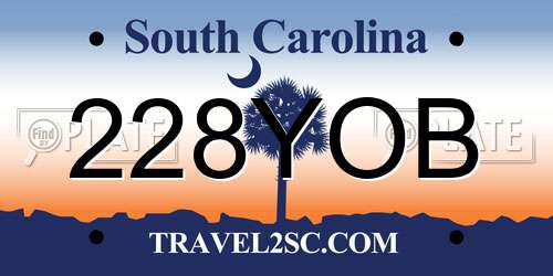 228YOB South Carolina License Plate