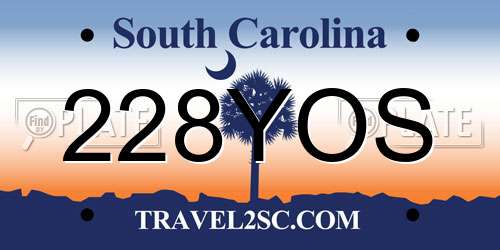 228YOS South Carolina License Plate