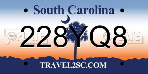 228YQ8 South Carolina License Plate