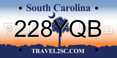 228YQB South Carolina License Plate