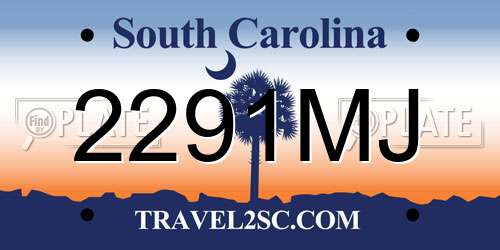 2291MJ South Carolina License Plate