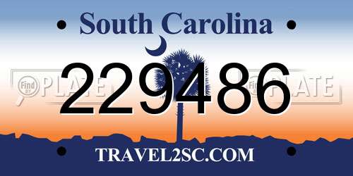 229486 South Carolina License Plate