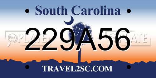 229A56 South Carolina License Plate