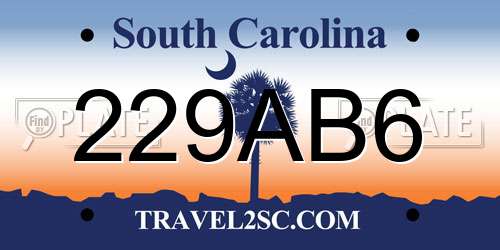 229AB6 South Carolina License Plate