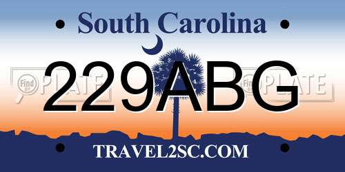 229ABG South Carolina License Plate